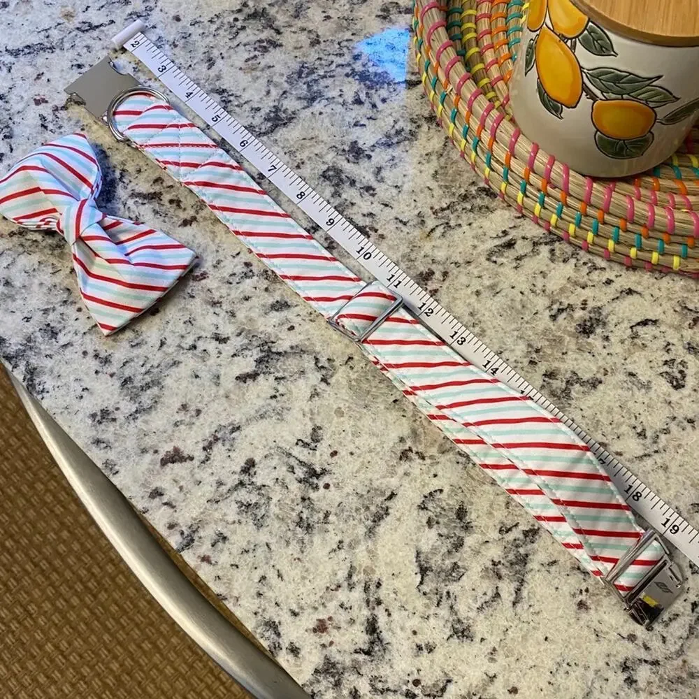 NWT • Red + Mint Striped Dog Bow + Collar